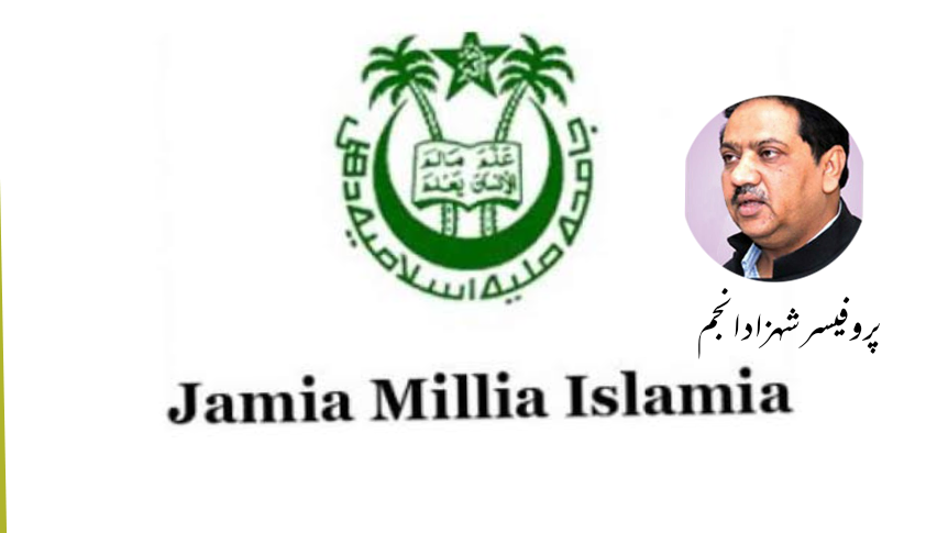 جامعہ ملیہ اسلامیہ تحریک آزادی کی پیداوار ہے: پروفیسر شہزاد انجم